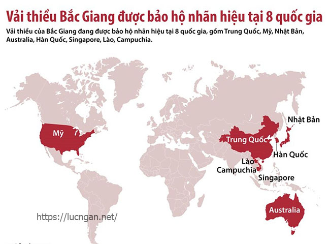 Vải thiểu Bắc Giang được bảo hộ nhãn hiệu tại 8 quốc gia 
