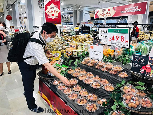 Vải thiều Việt Nam lên kệ siêu thị Nhật