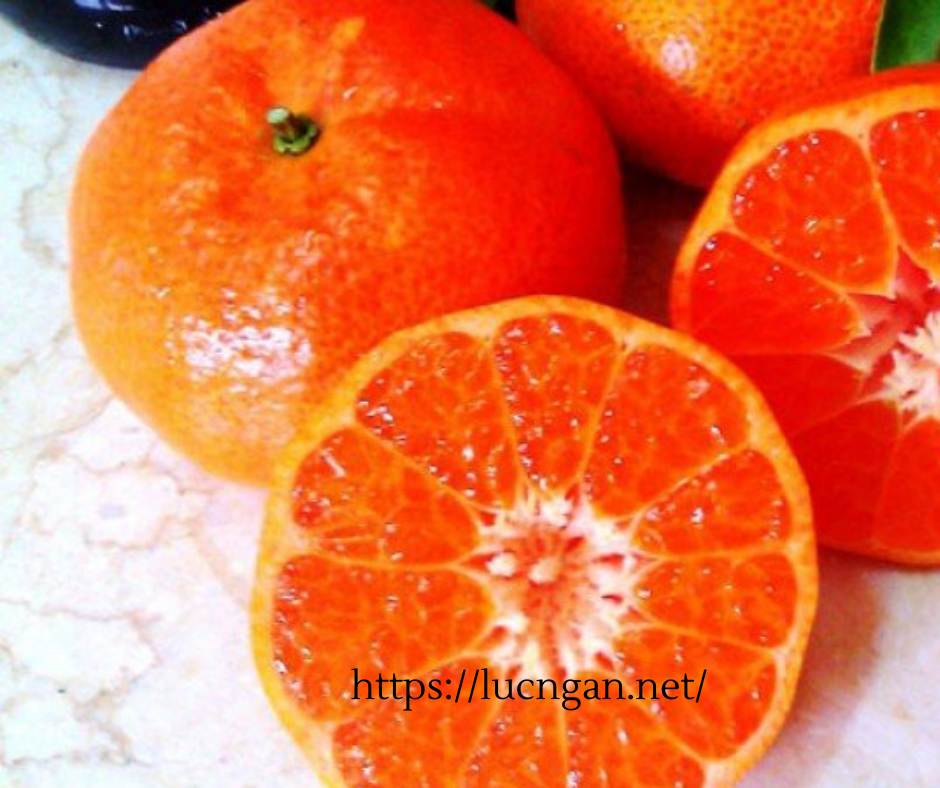 bông lan cam tươi (4)